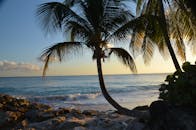 日落时分，棕榈树、岩石与海浪构成了一幅令人放松的热带海滩场景
