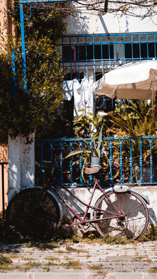Free A rustic bicycle leans against a blue fence amidst urban greenery on a sunny day. Stock Photo