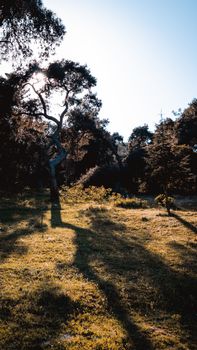 Image by Yunus  Kılıç