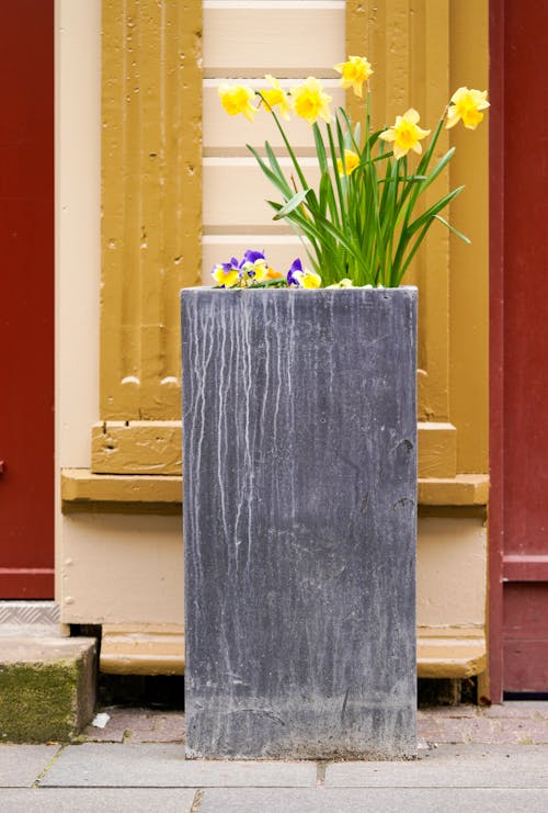A gray planter with yellow flowers in it