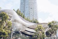 城市中，摩天大楼与创新的建筑被玻璃幕墙包围的绿色植物环绕