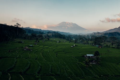 Безкоштовне стокове фото на тему «Балі, гора, Денне світло»