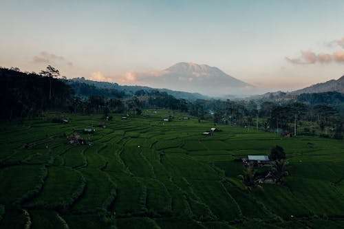 Vista Do Campo De Grama