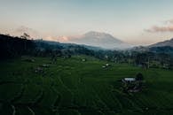 在印度尼西亚巴厘岛，鸟瞰郁郁葱葱的绿色水稻梯田与山峦背景