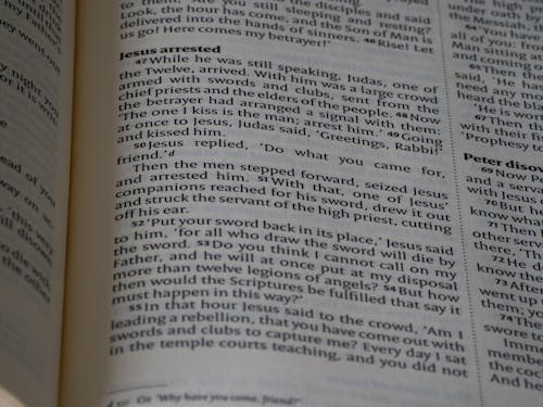 Free stock photo of bible, bible study, bokeh