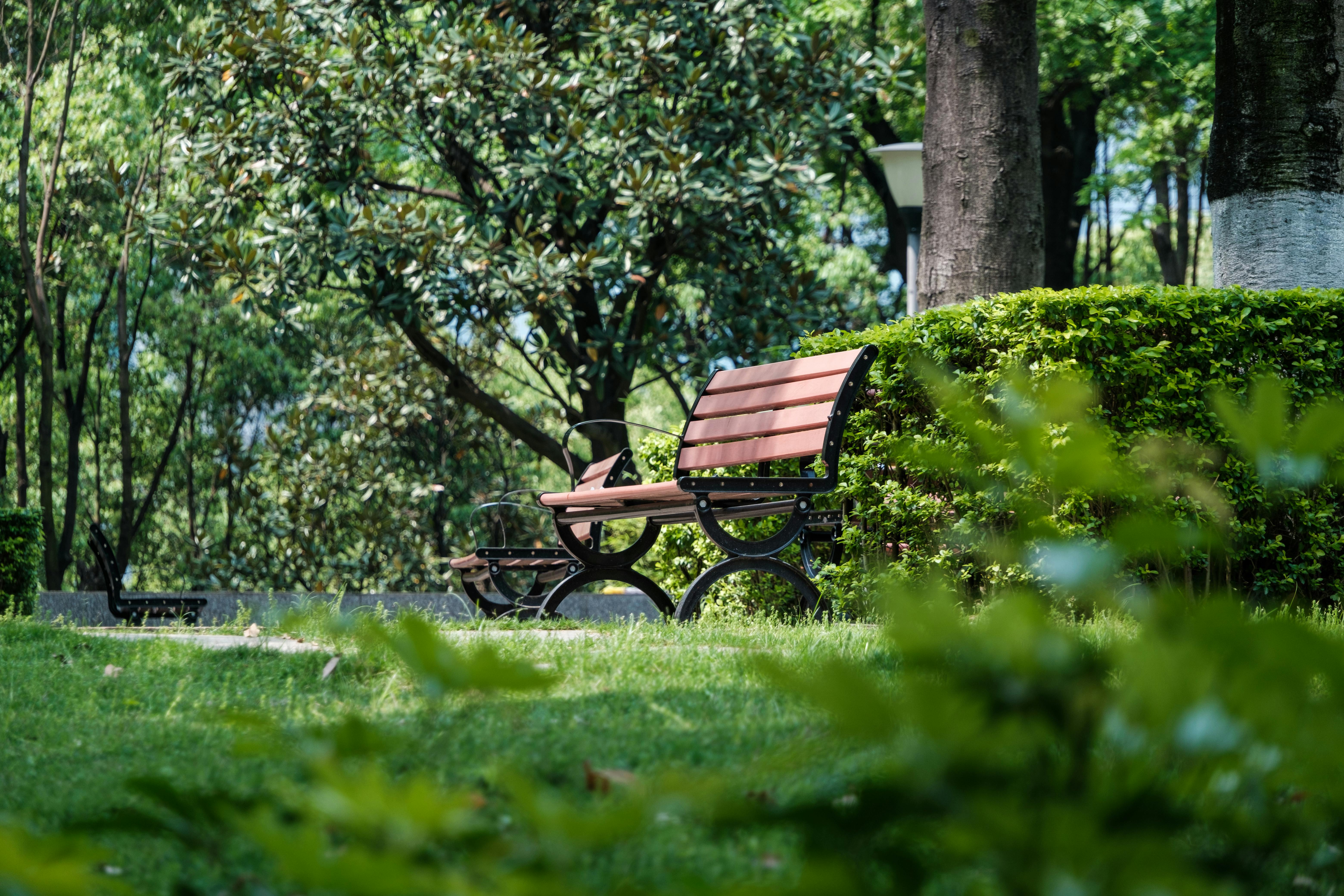Photos gratuites de arbres, arbustes, banc