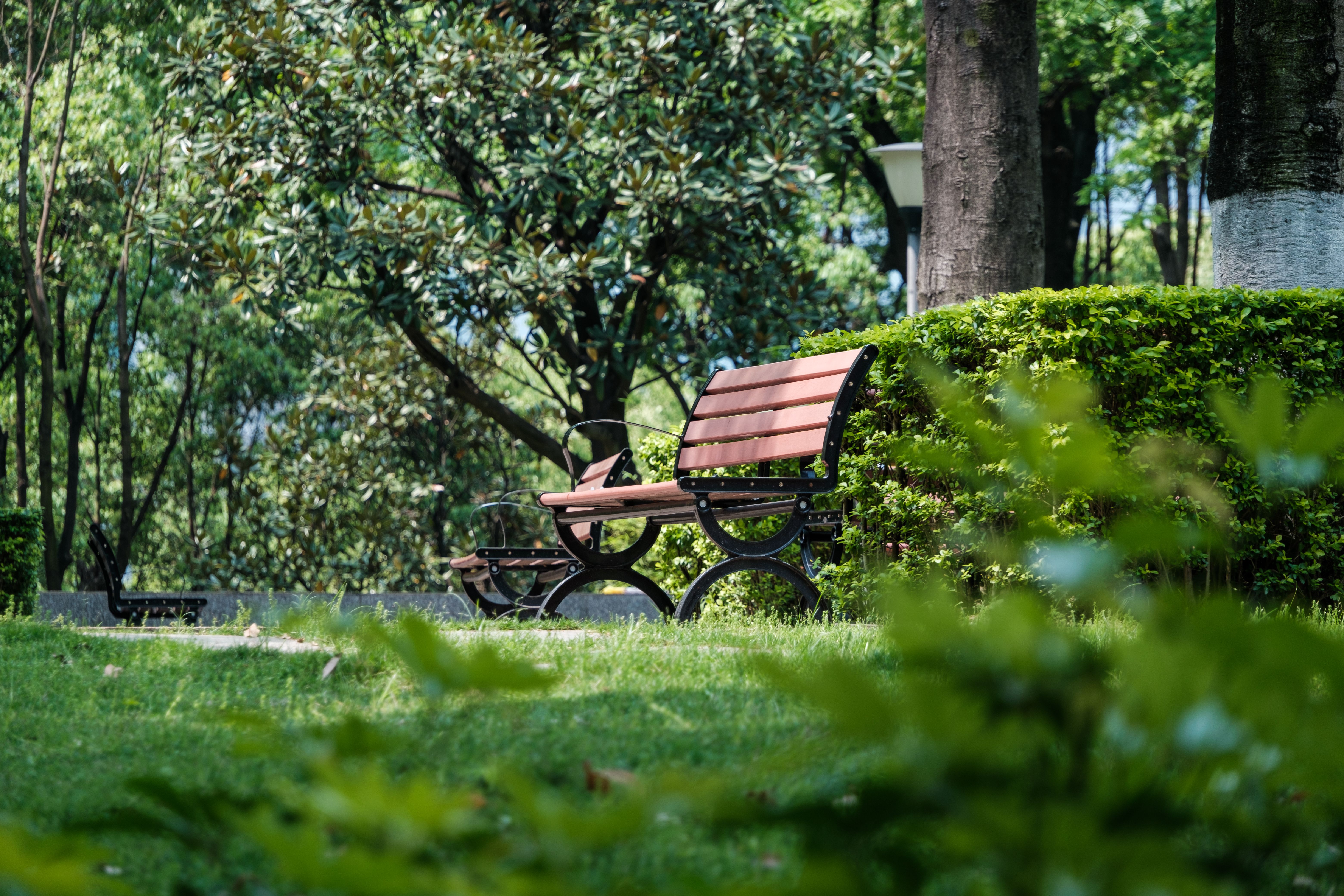 Wooden Bench in a Park · Free Stock Photo
