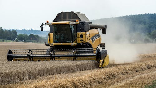 Ingyenes stockfotó aratás, barna mező, búza témában