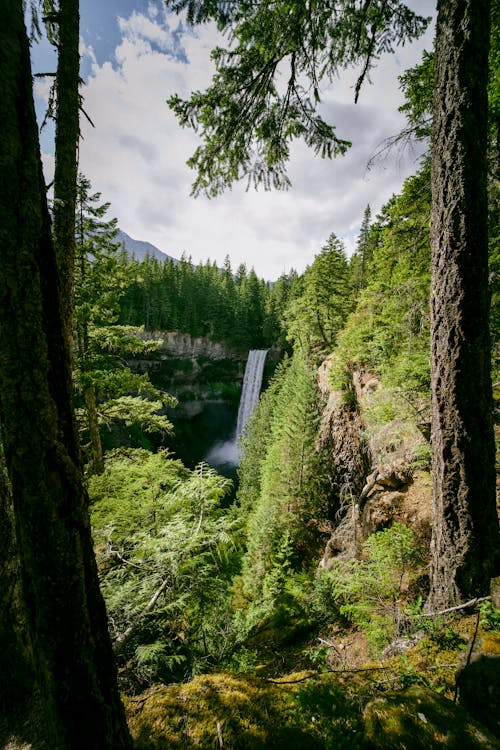 Free waterfall (Brandywine Falls Provincial Park) Stock Photo