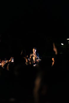 A captivating live performance featuring an artist engaging with a night-time audience.