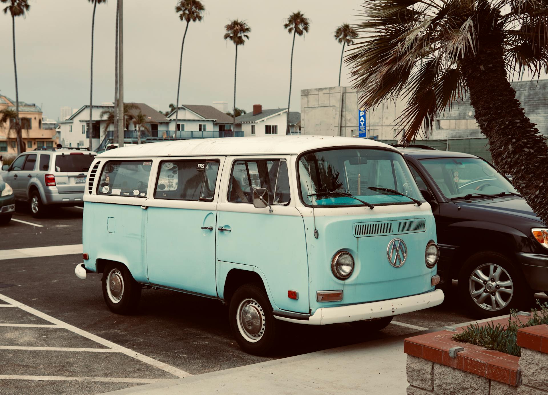 Classic blue Volkswagen van parked in a sunny coastal lot with palm trees and urban scenery.