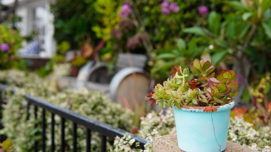 How Winterization Actually Works — And Why It Matters Beyond Pipes