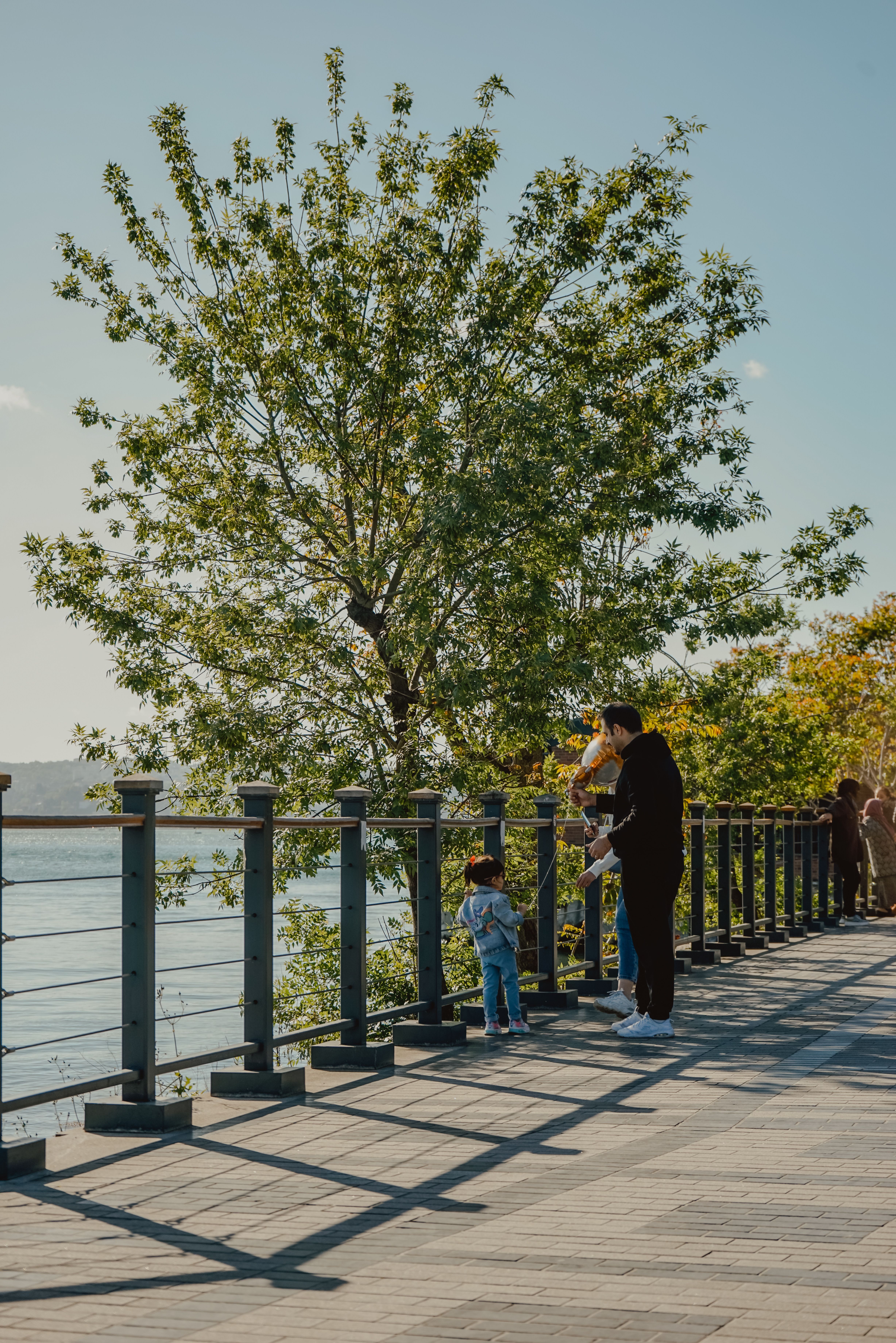 people watching waterfront park railing