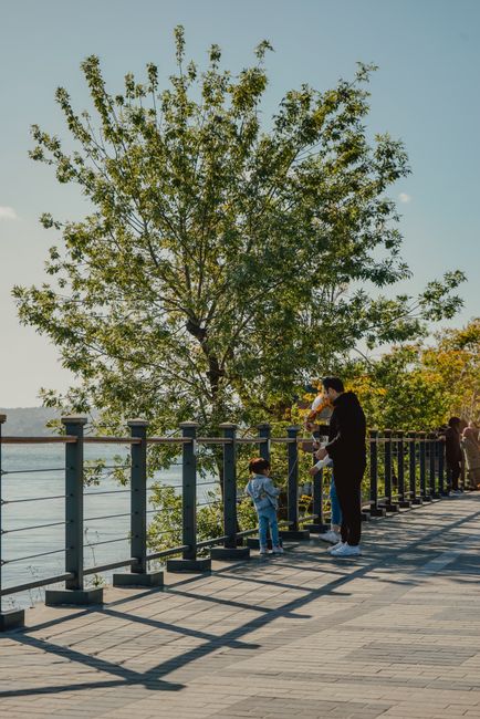 people watching waterfront park railing