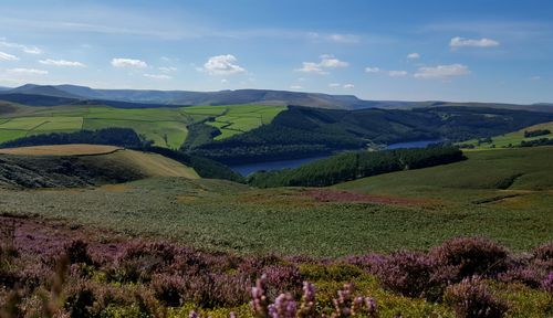 Free A vibrant landscape of the Peak District with hills, fields, and a reservoir under a clear sky. Stock Photo
