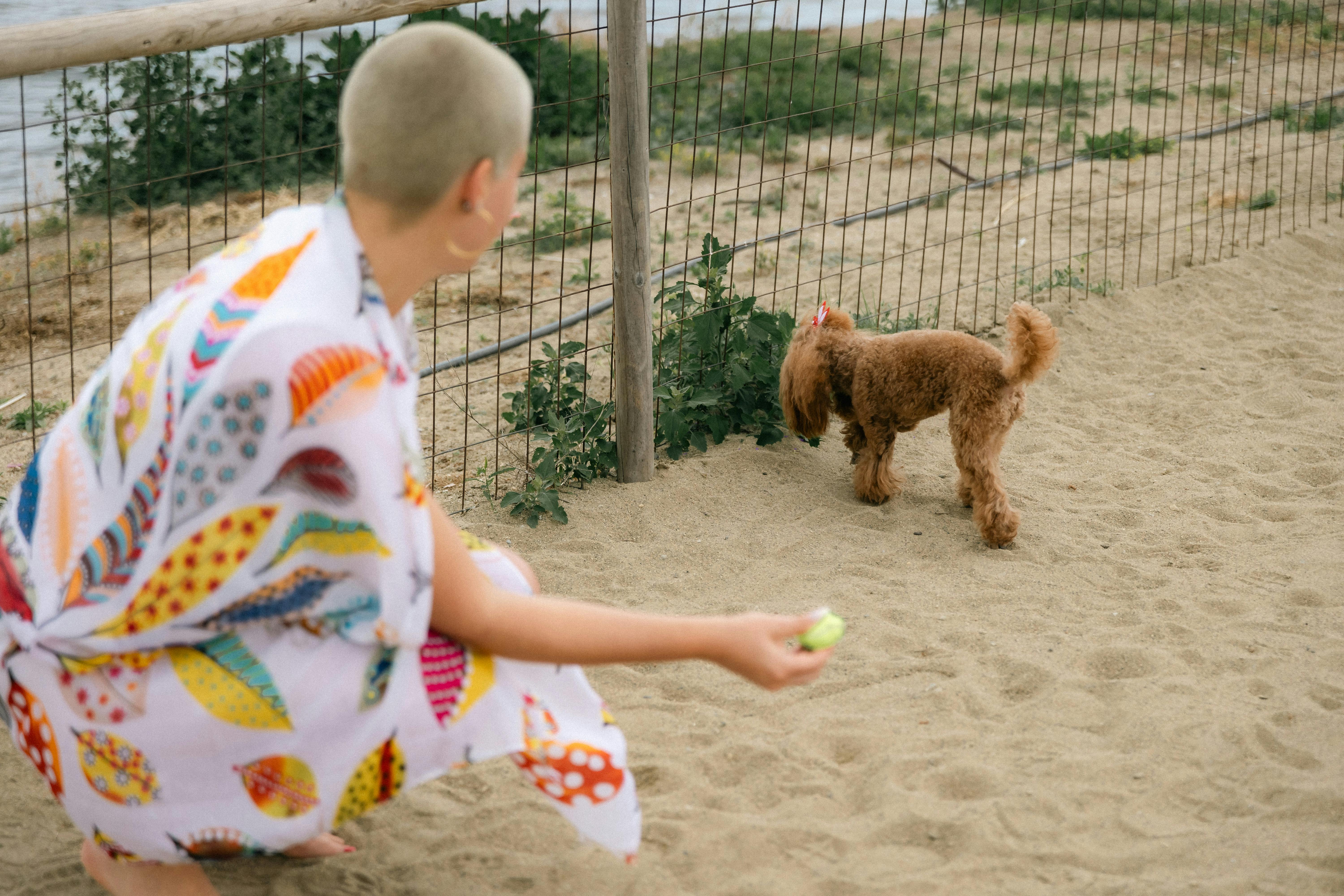 Woman Crouching next to her dog with a treat in her hand