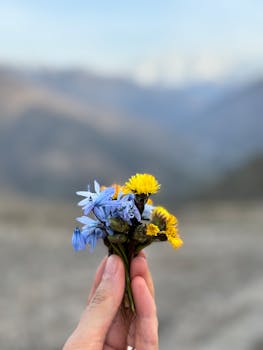 A hand holding a delicate bouquet of wildflowers with a blurred mountainous background.