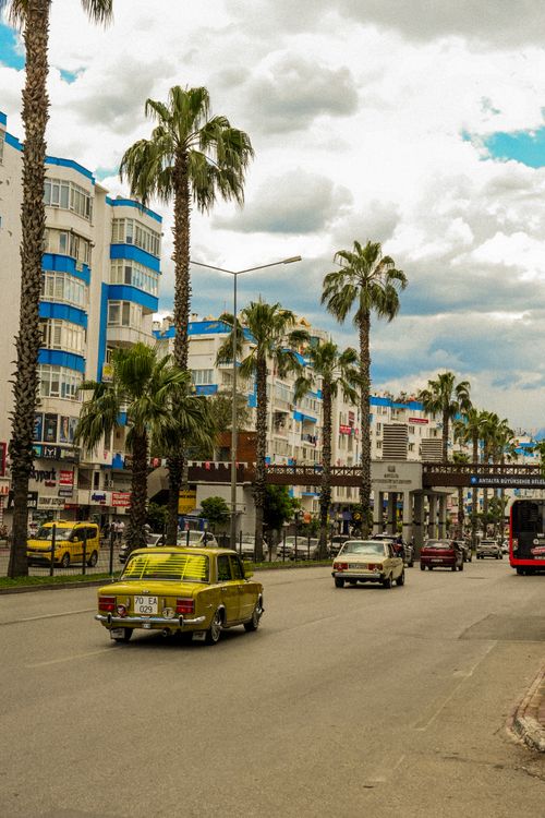 Free Vibrant urban scene in Antalya featuring palm-lined street and classic cars. Stock Photo