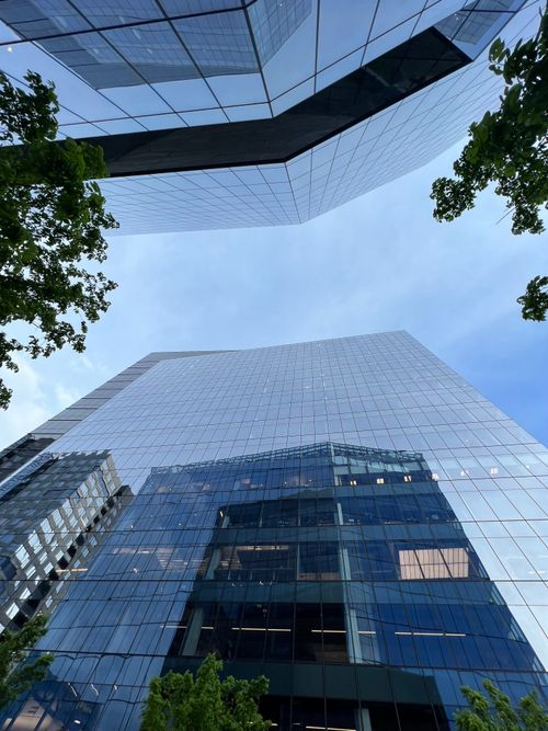Free Upward view of modern skyscrapers with glass facades reflecting blue sky and surrounding trees. Stock Photo
