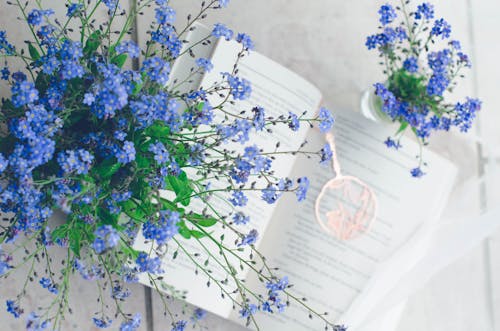 Blue flowers on a table with a book and a blue flower
