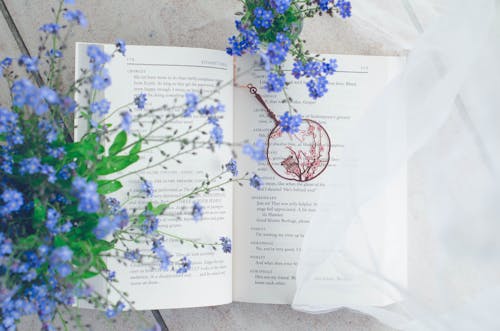 A book with blue flowers on top of it