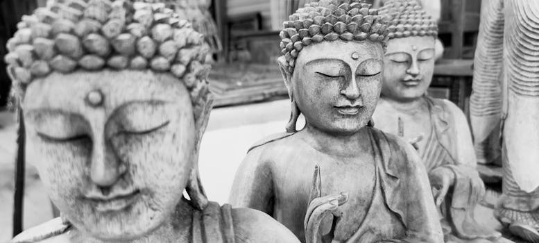 Serene black and white depiction of Buddha statues highlighting tranquility in Mar de Ajó.