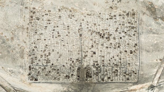 San Pedro, Belize photo 21