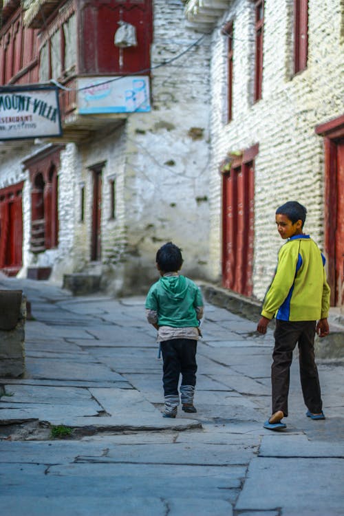 Free stock photo of brotherhood, brothers, childhood