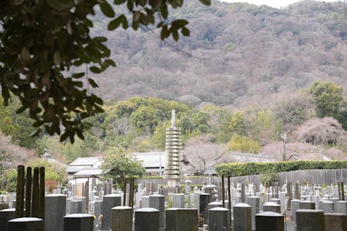 Gratis lagerfoto af arashiyama, kirkegård