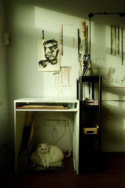 A white cat sitting on a desk in a room