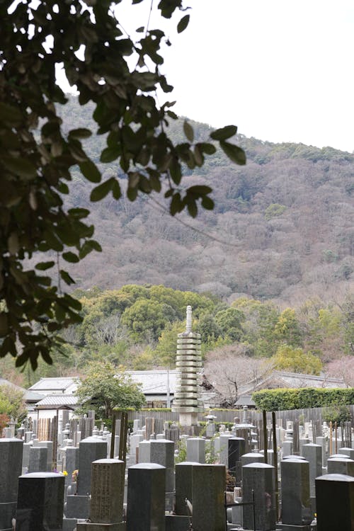 Gratis lagerfoto af arashiyama, japan, kirkegård