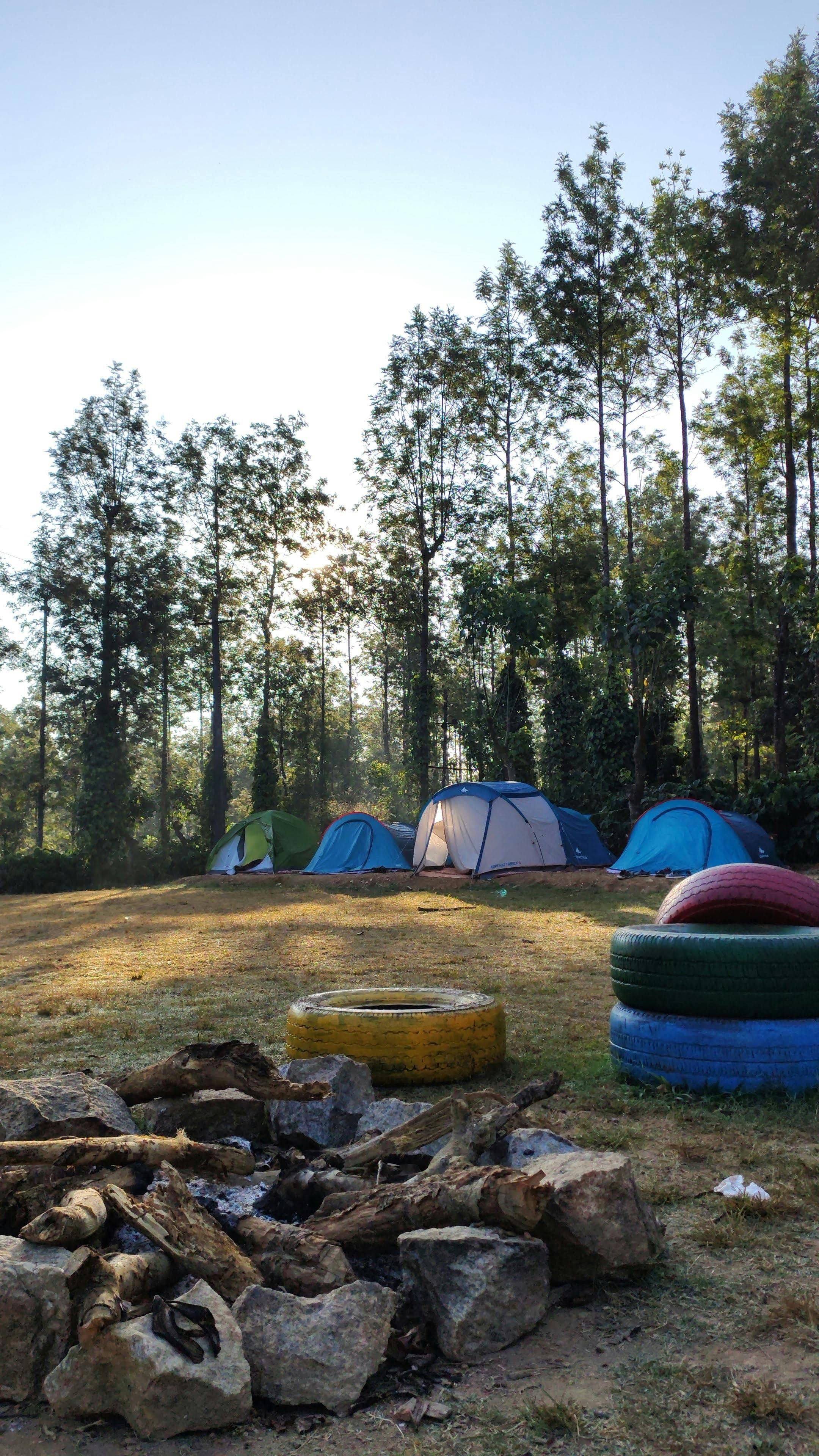 Camping tents set up at Euroka Campground near Glenbrook surrounded by bushland and tall trees Camping tents set up at Euroka Campground near Glenbrook surrounded by bushland and tall trees