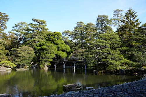 Gratis lagerfoto af gyoen, have, japan