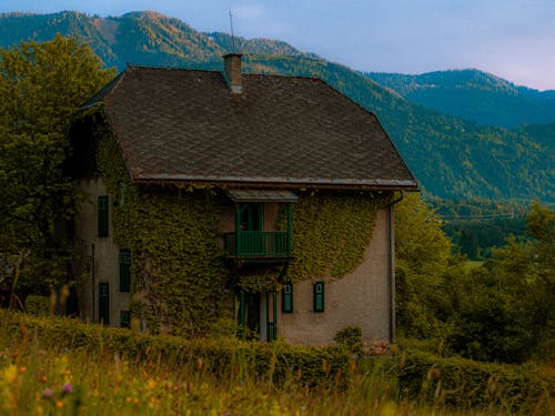 Overgrown House in front of Mountains