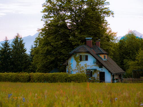 Rural House in the Summer
