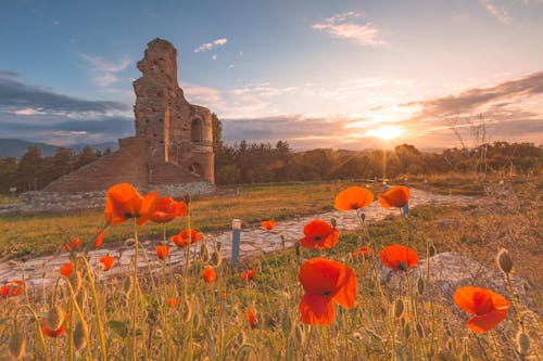 Ingyenes stockfotó aranyóra, naplemente, ortodox témában