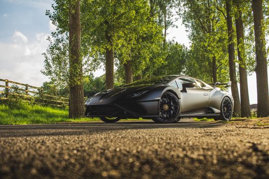 Luxurious black supercar on a tree-lined road showcasing elegance against a vibrant green backdrop.