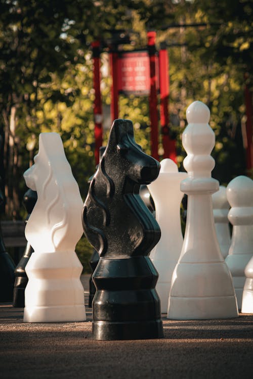 A large chess set with black and white pieces