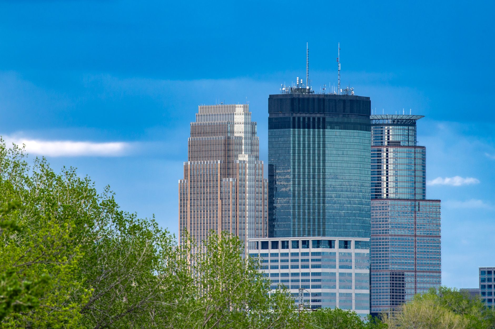 Stunning view of Minneapolis skyscrapers framed by lush greenery under a clear blue sky.