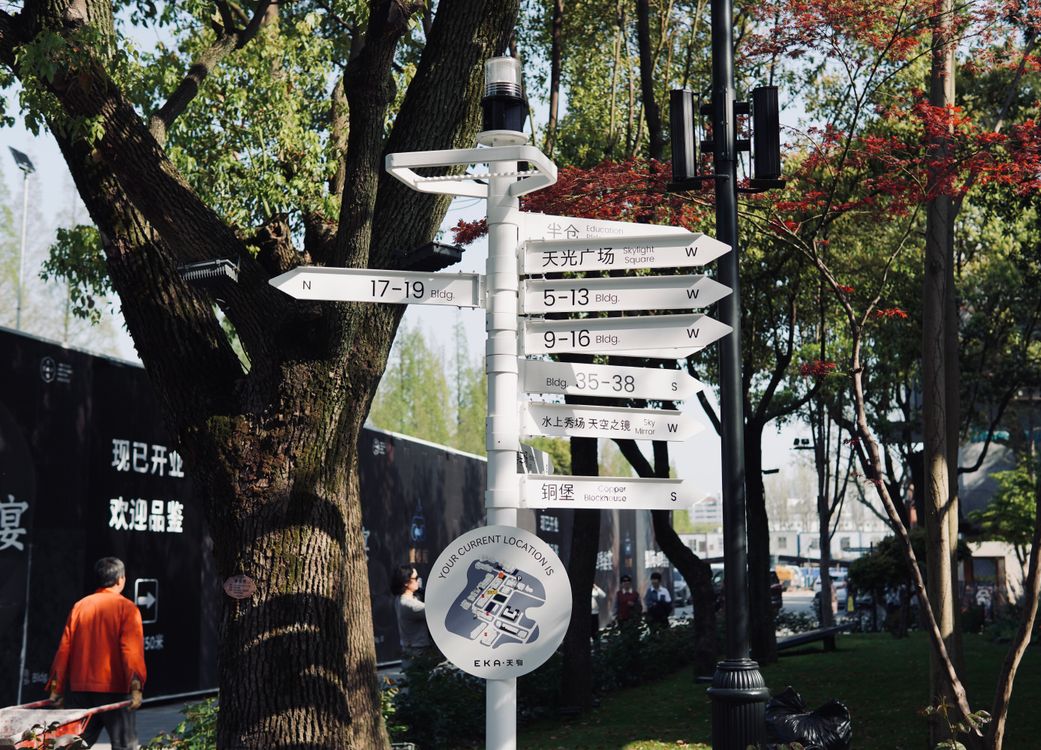 Sign with Directions near Trees · Free Stock Photo