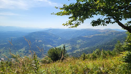 喀爾巴阡山, 夏天, 山 的 免費圖庫相片