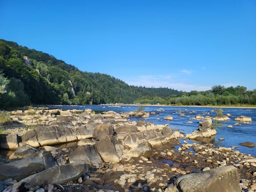 A river with rocks and trees in the background