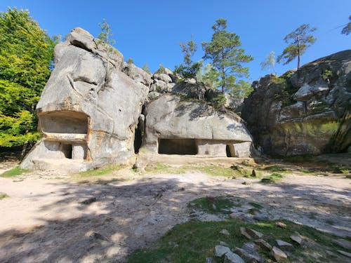 The cave is surrounded by rocks and trees