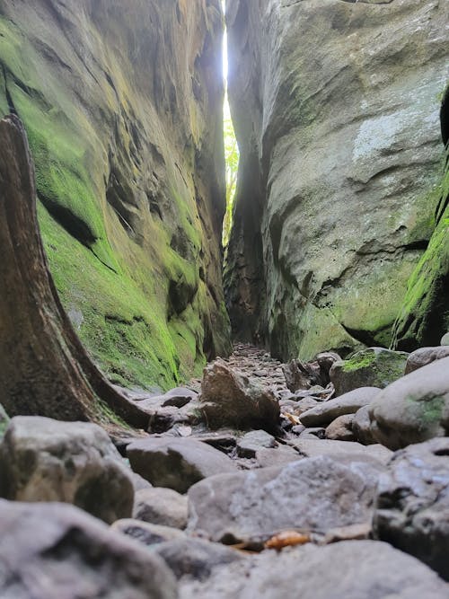 Foto profissional grátis de cárpatos, montanhas, turismo