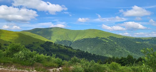 喀爾巴阡山, 山, 山地旅行 的 免費圖庫相片