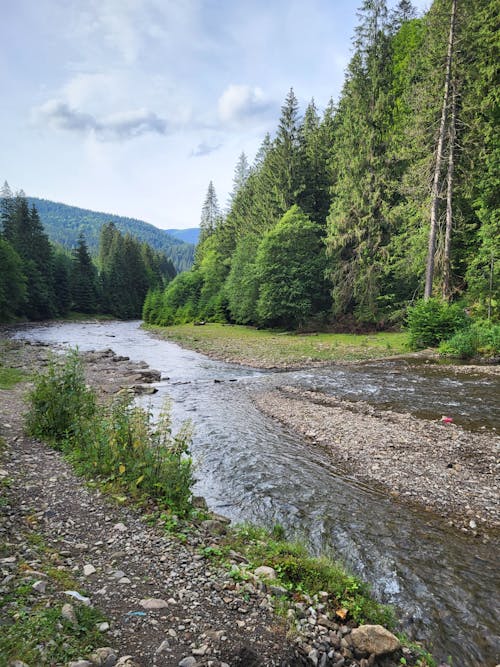 Free stock photo of carpathians, mountain travel, mountains