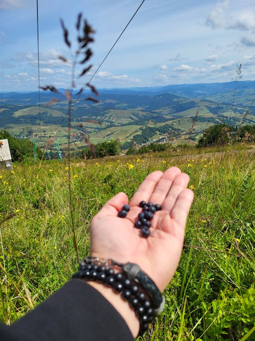 Free stock photo of carpathians, mountain travel, mountains