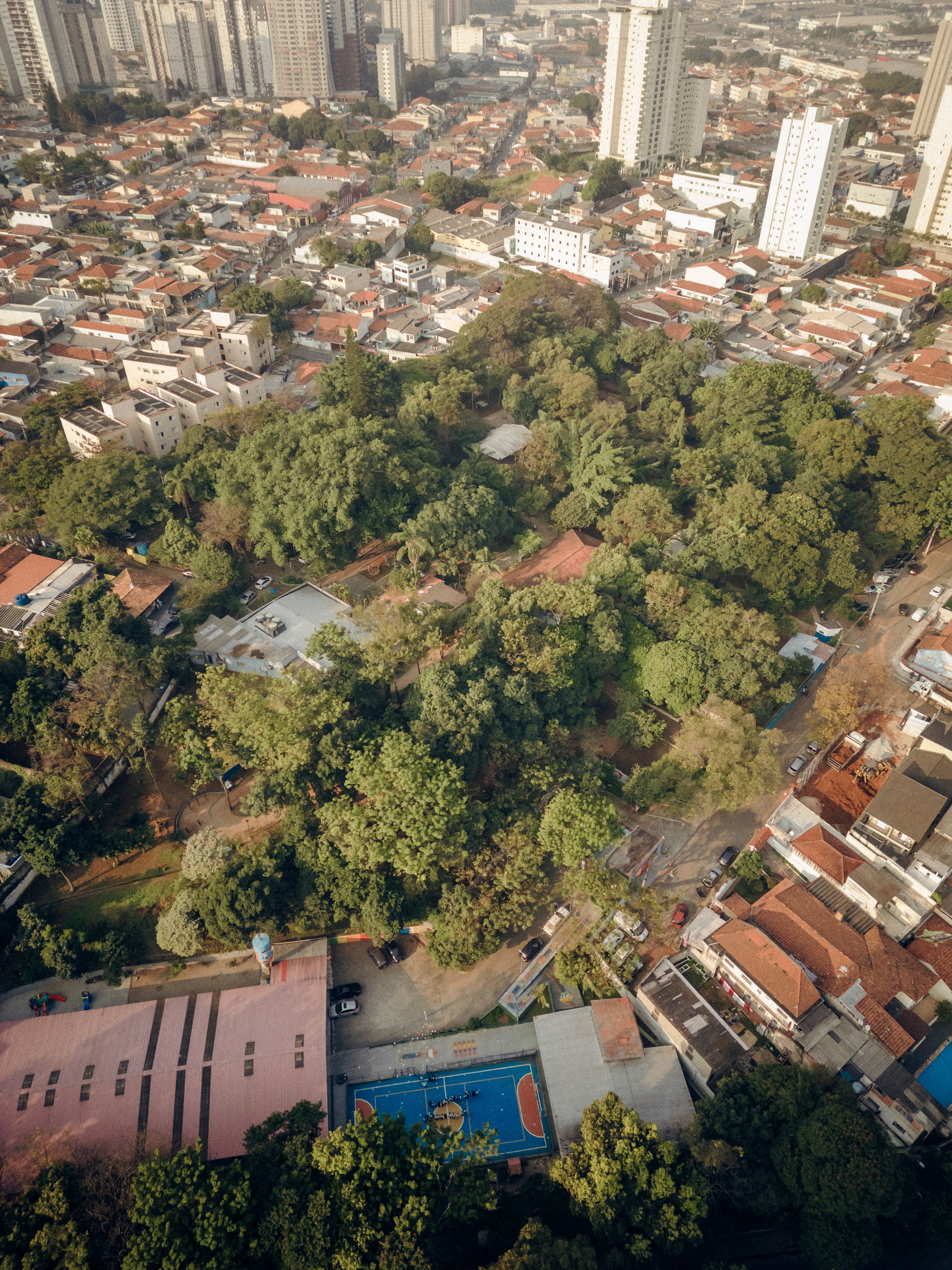Drone shot of Campinas cityscape featuring green urban park and surrounding buildings.