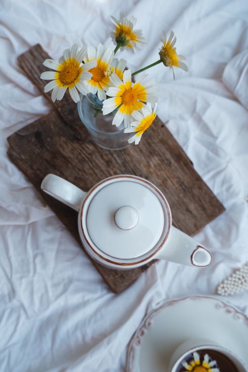 Free Aesthetic setup of a teapot and chamomile flowers on a rustic wooden board. Stock Photo