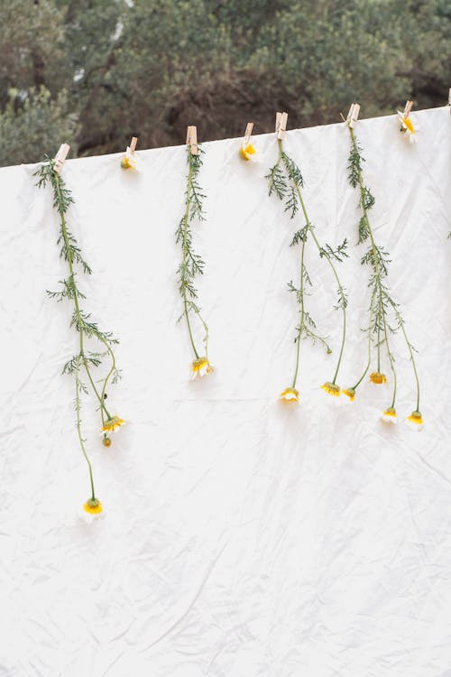 A white sheet with yellow flowers hanging from clothes pegs